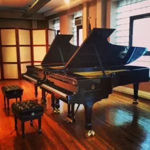 سهامداران پیانو هایلون